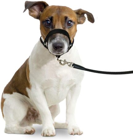 Lagana brnjica za njušku za pse koji vuku Flamingo, M